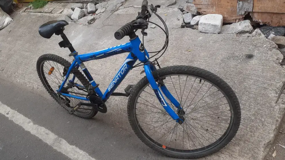 SENATOR Everton 26 Frame steel Normal siap gowes