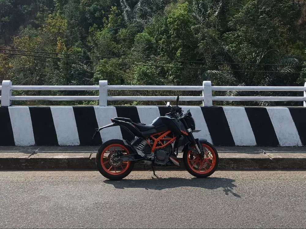 KTM Duke 250 2015