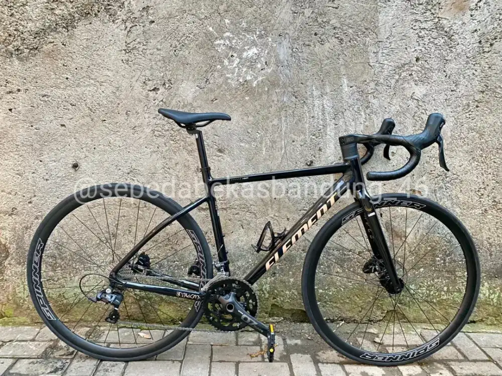 Roadbike/Sepeda Balap Element Curved NXR clean look