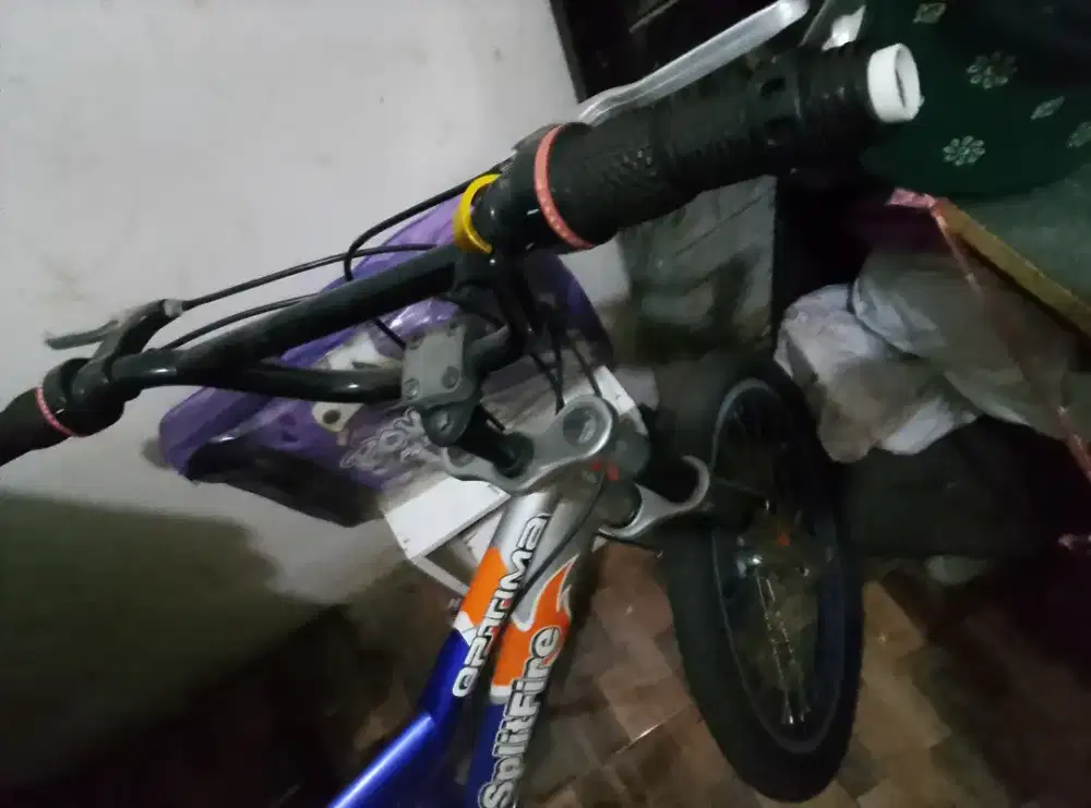 speda Mtb ukurn 18
