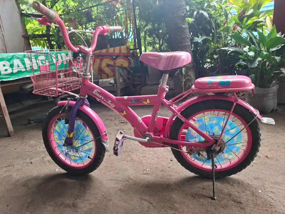 Dijual sepeda anak roda 2 merk Family