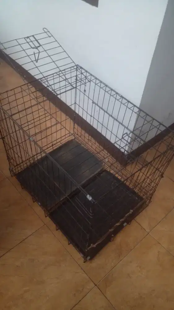 Kandang besi kucing