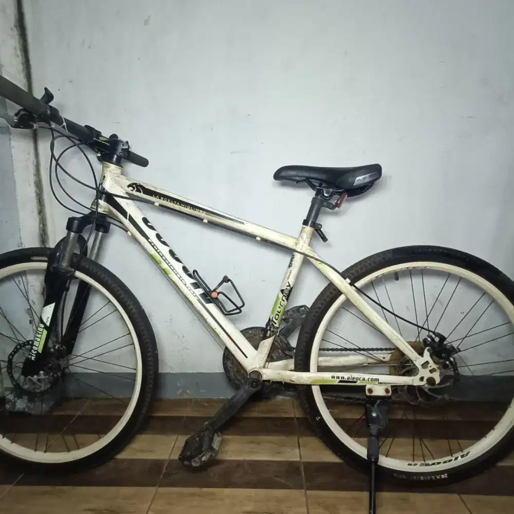 Sepeda merek Aleoca
