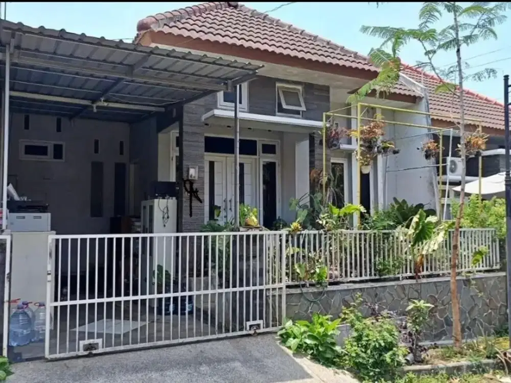 Rumah Puncak Dieng Kota Malang