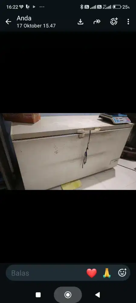 Freeser bekas Electrolux 600 Liter.