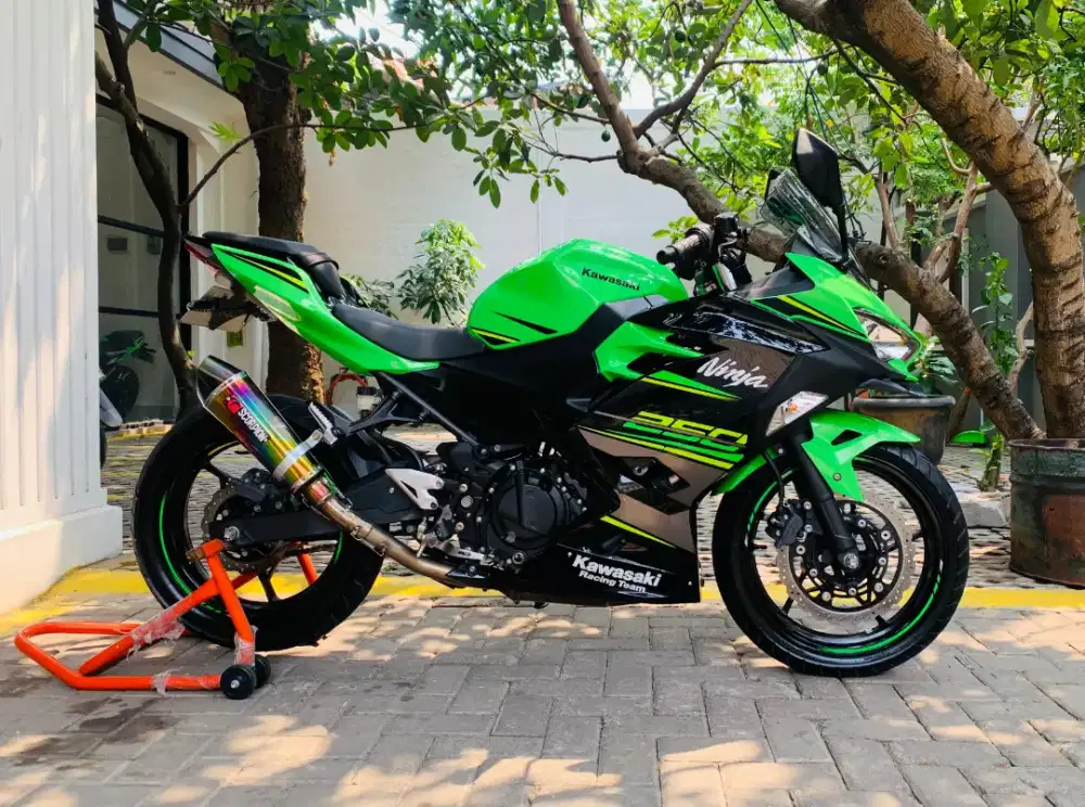Kawasaki ninja 250 krt