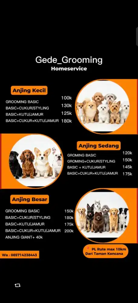 Grooming panggilan Grooming anjing terdekat