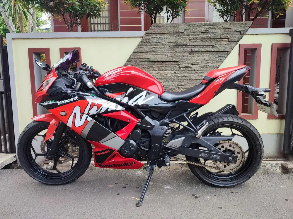 Kawasaki Ninja 250 cc mono 2014 Decal