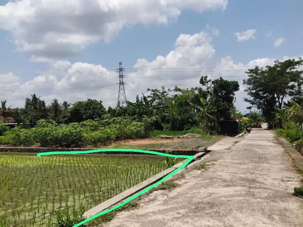 Dijual Tanah Sawah Area Jakal KM. 9 Lokasi Dekat Tengkleng Gajah
