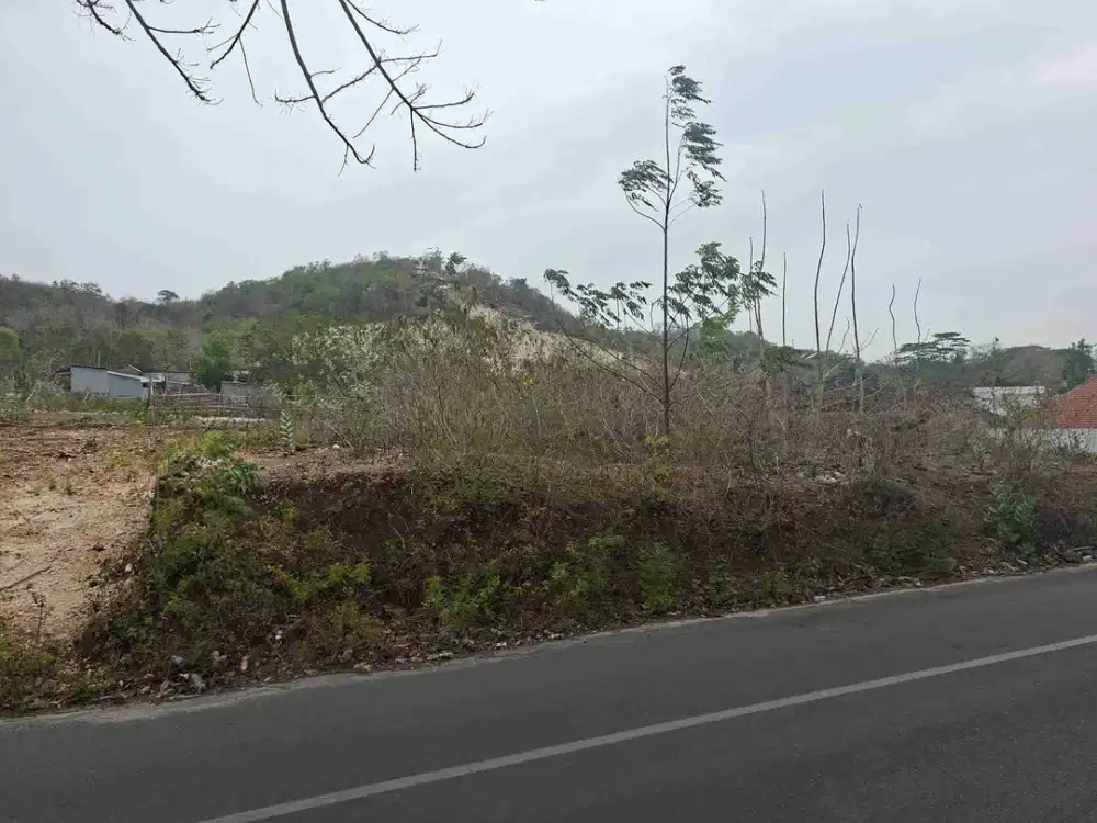 Dijual Tanah 600m2 Jl Utama Pecatu Uluwatu