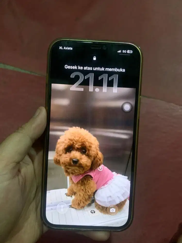 Iphone 12 pro max gold