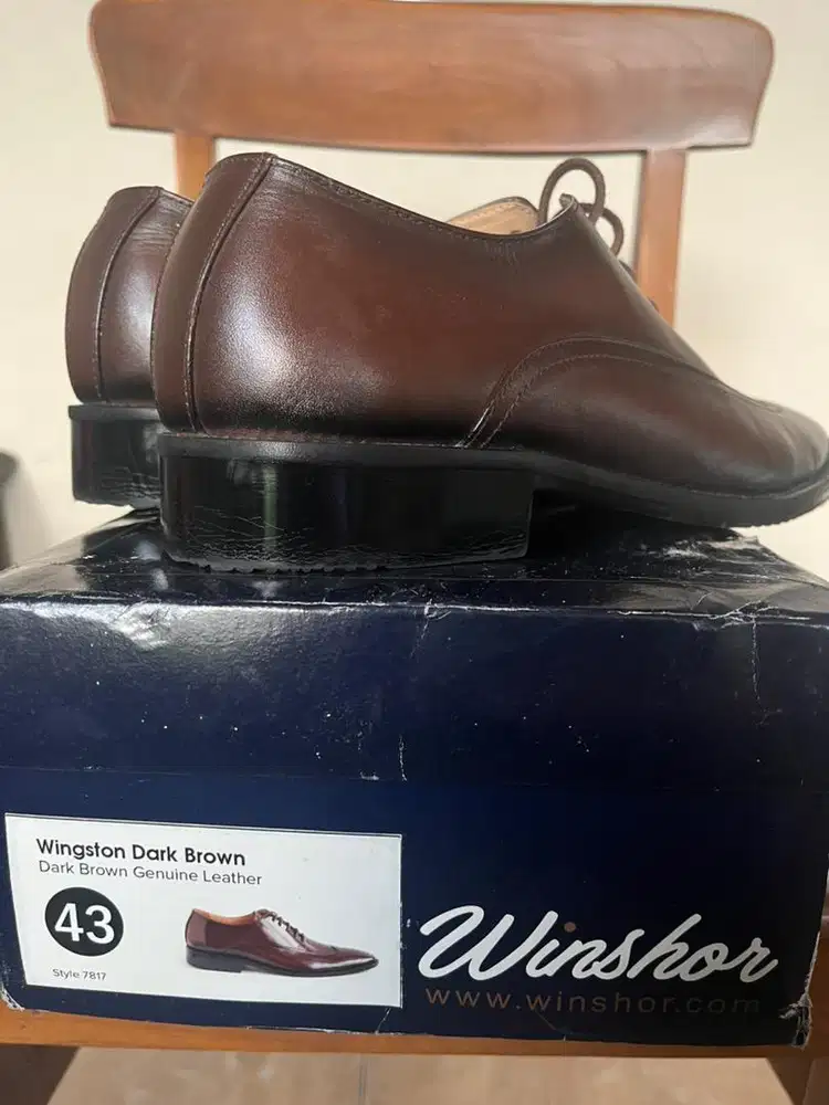 winshor pantopel