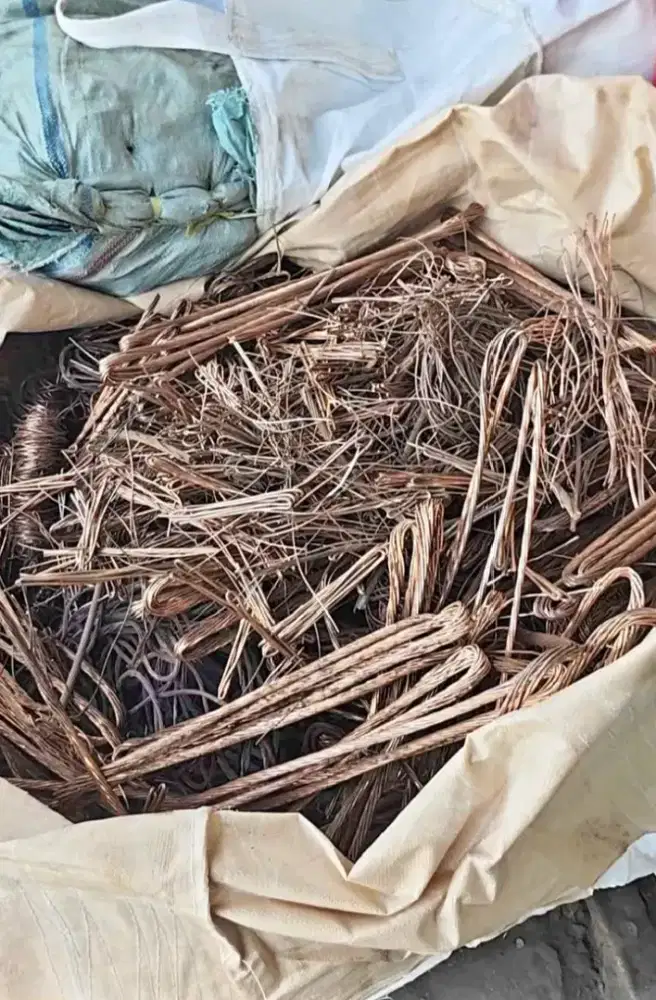 Terima segla jenis logm