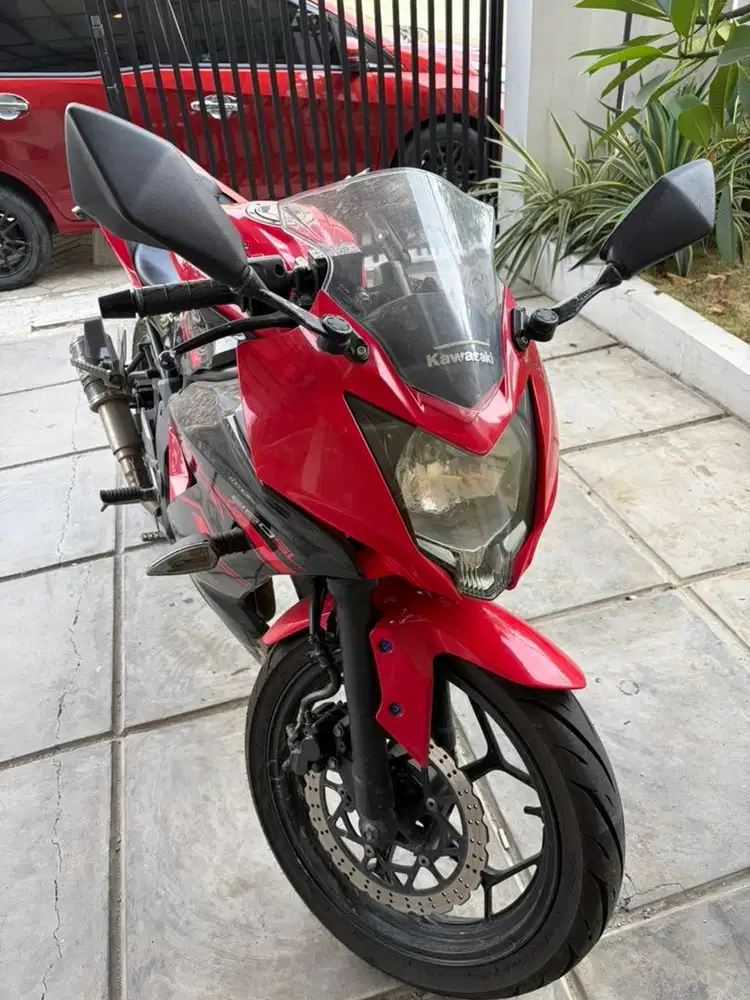 Ninja mono 250cc