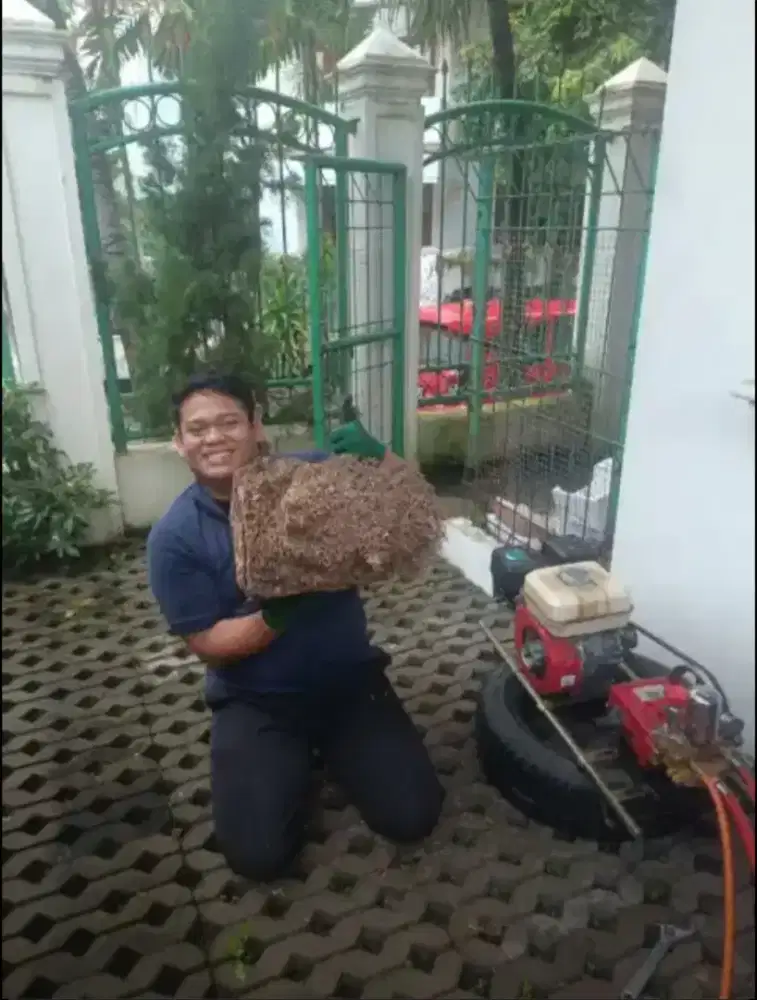 Pest Control,Pembasmi Hama,Desinfektan, Fogging, Anti Rayap,Pipanisasi