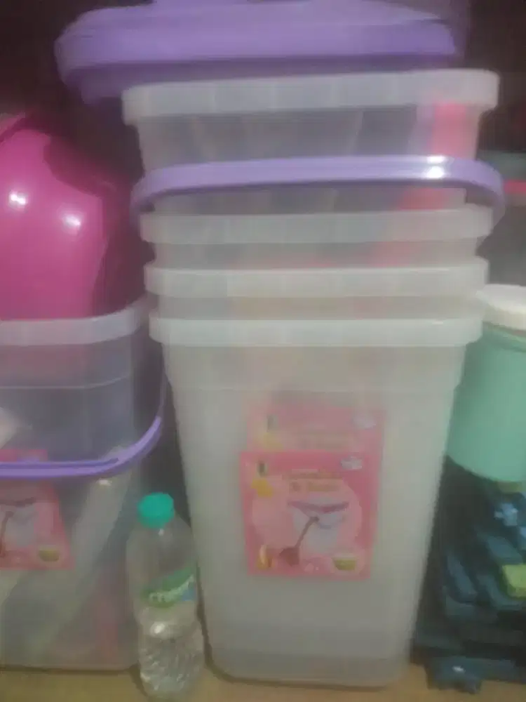 Konteinier es buah