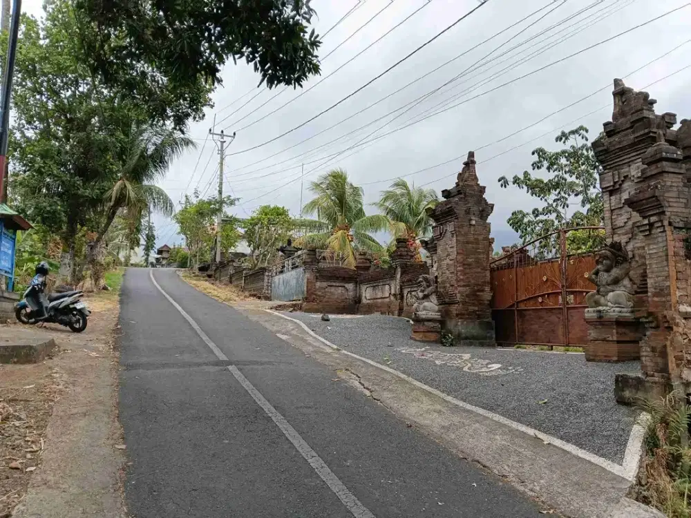 Tanah View Sawah Dan Bukit Pinggir Jalan Utama Dikawasan Wisata Desa Panji