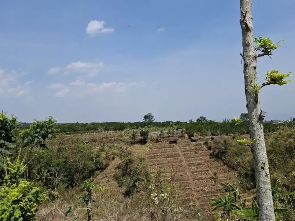 V1 Dijual Tanah Kavling Murah di Bumiaji Kota Batu