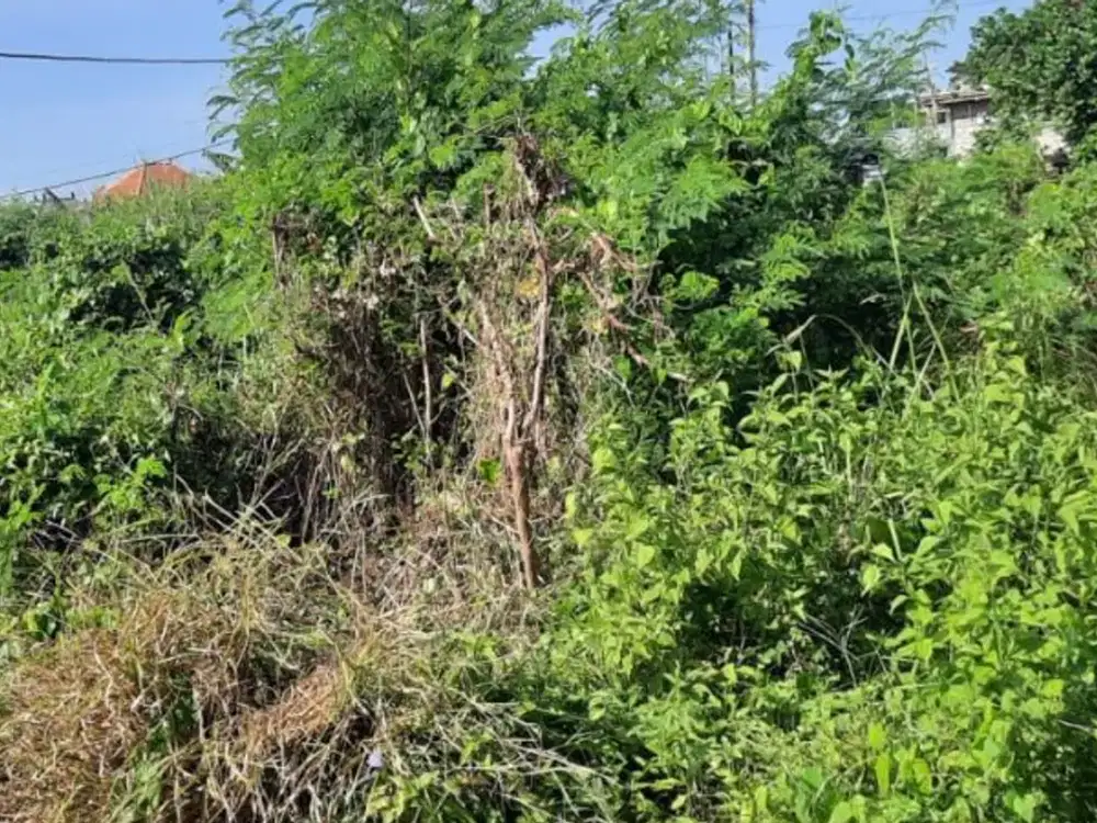 TANAH SELUKAT KERAMAS BLAHBATUH GIANYAR