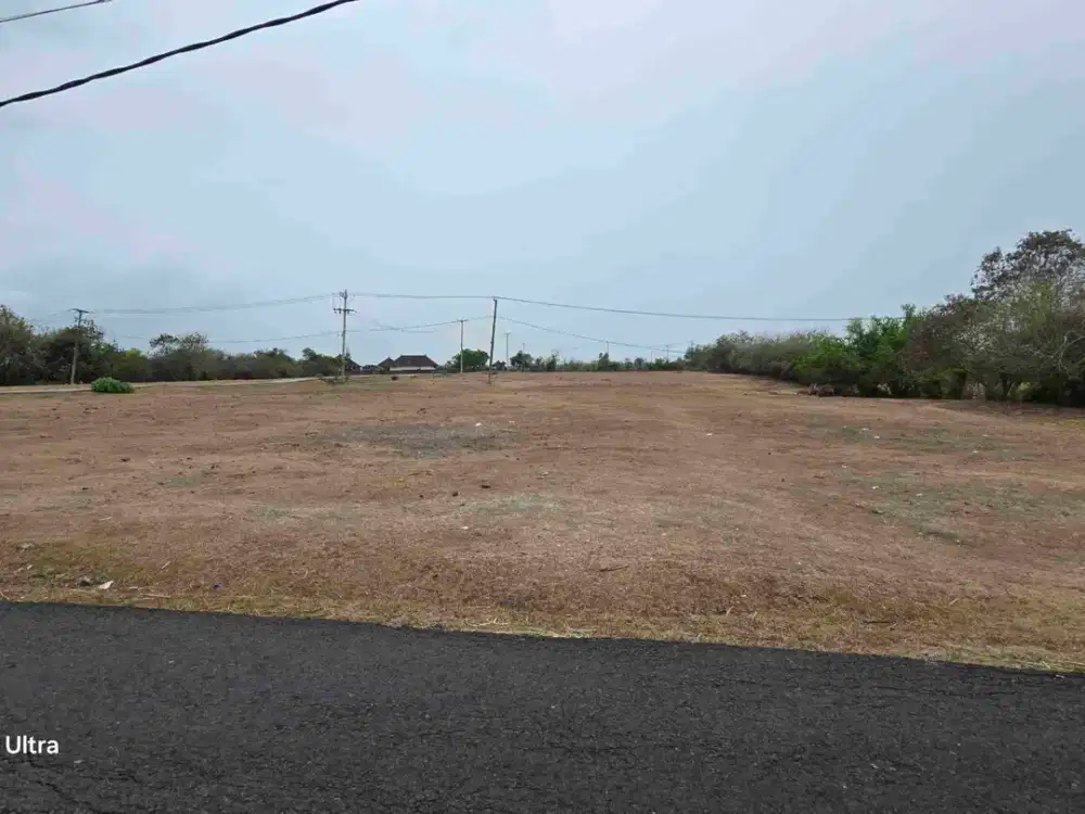 TANAH 2490 M2. JALAN ASPAL DEKAT PANTAI PERANCAK JEMBRANA BALI