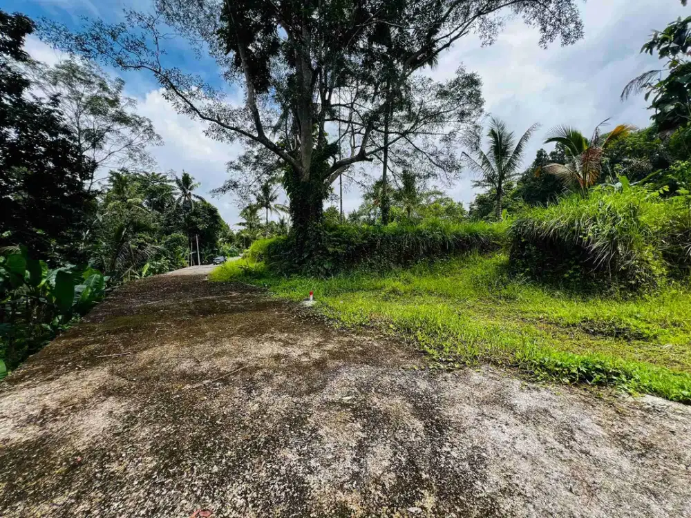 Tanah Payangan Ubud Gianyar Bali