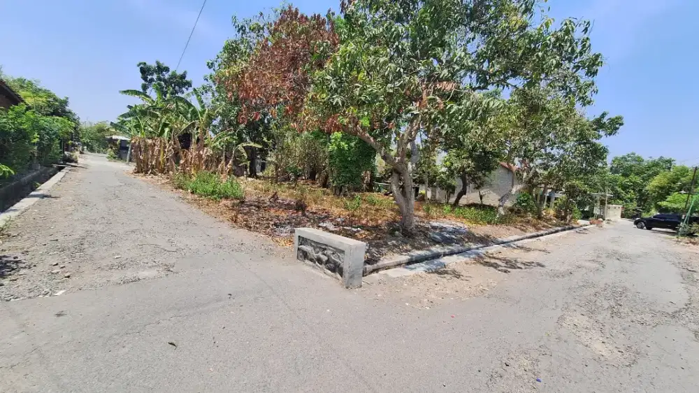 Dijual Tanah Pekarangan Ngusikan Jombang