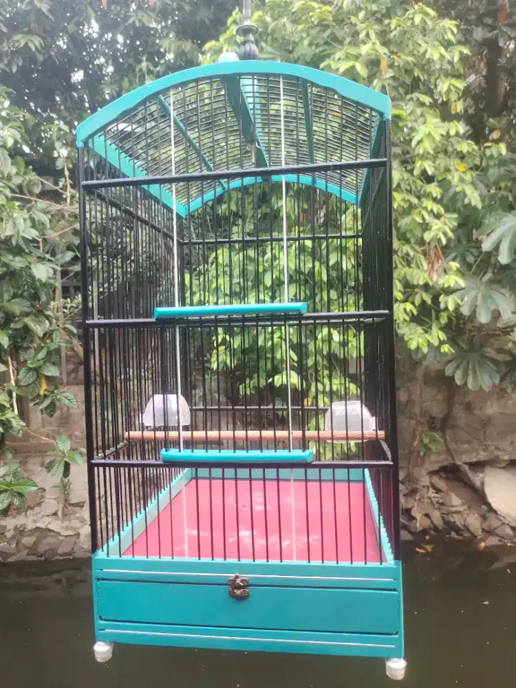 KANDANG KOTAK NO.3