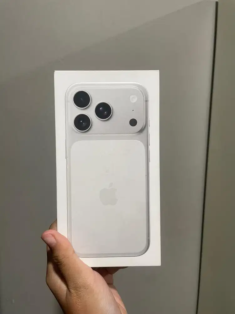 17PRO 256GB SILVER NEW