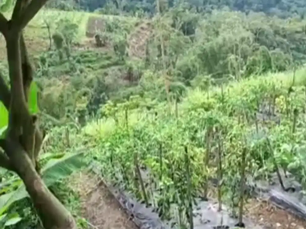 Tanah di Pinggir Jalan Raya Baturiti Dekat Kawasan Industri