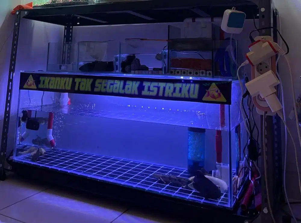 Predator Tank 100cm