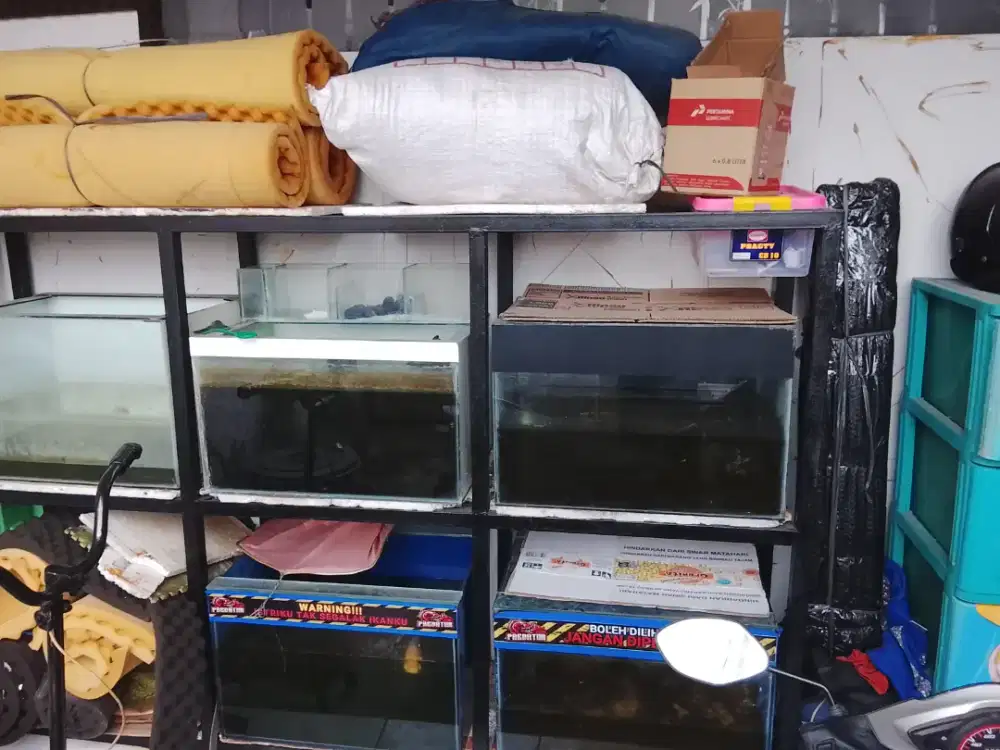Rak dan aquarium