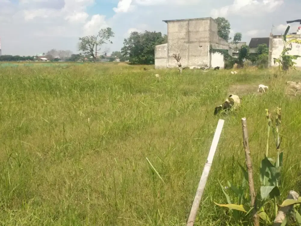 kavling tanah di kawasan Bunibakti, Babelan, Bekasi.