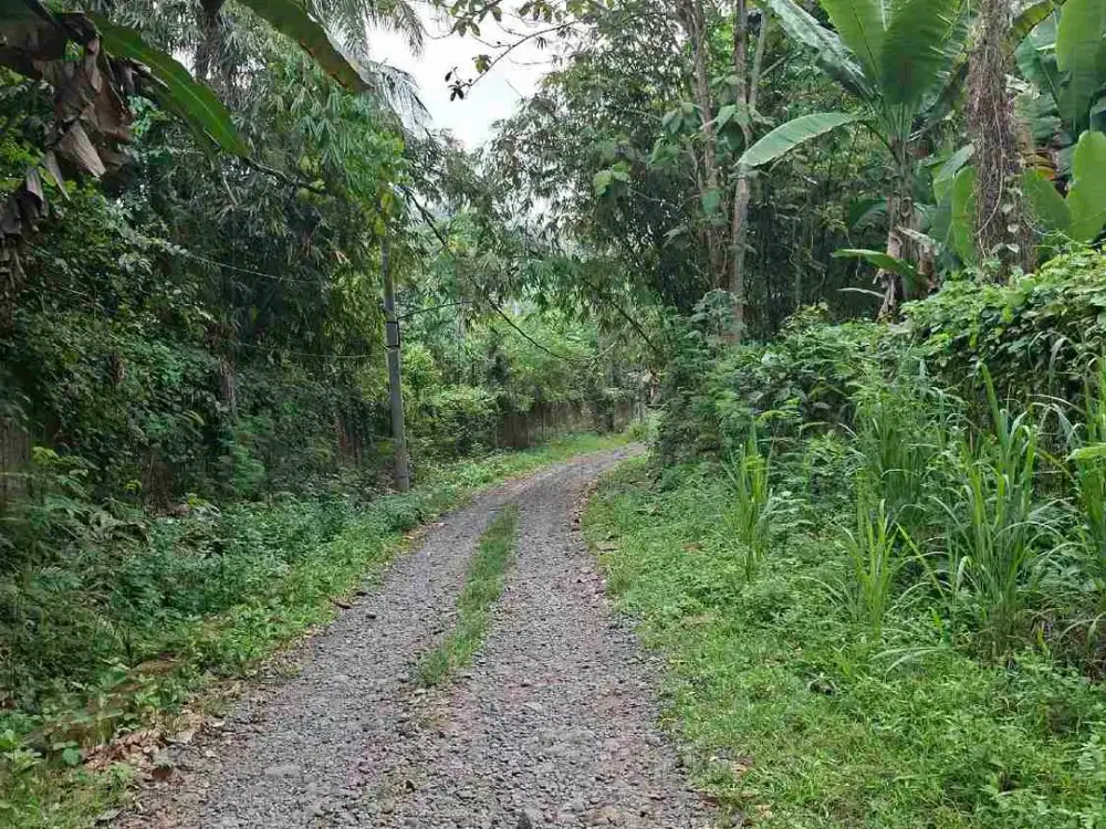 Dijual Kavling 1.6 Ha, tepi sungai Cisadane Ciseeng Bogor