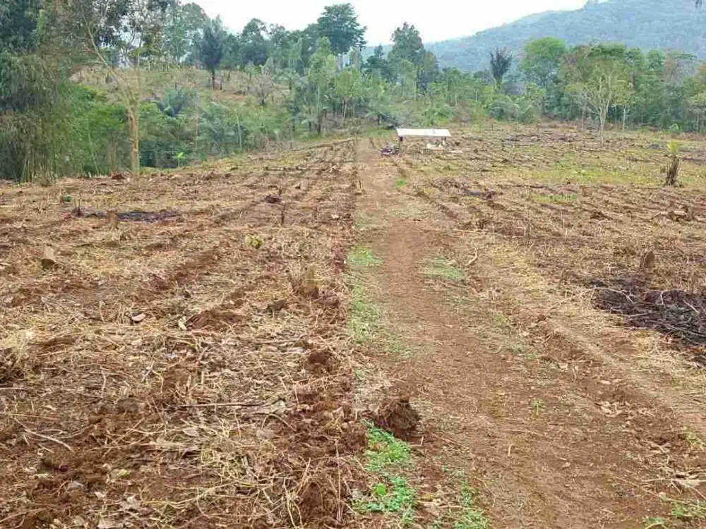 Loksi sejuk d Mande cipanas cianjur Buat Rumah kebun