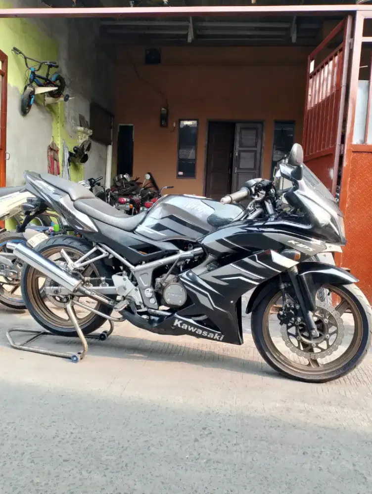 Ninja RR 2015 (second)