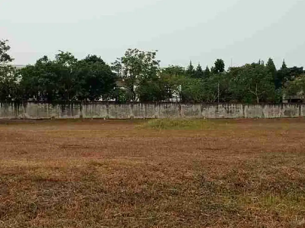 dijual tanah komersil harga menarik jalan de park Boulevard bsd city
