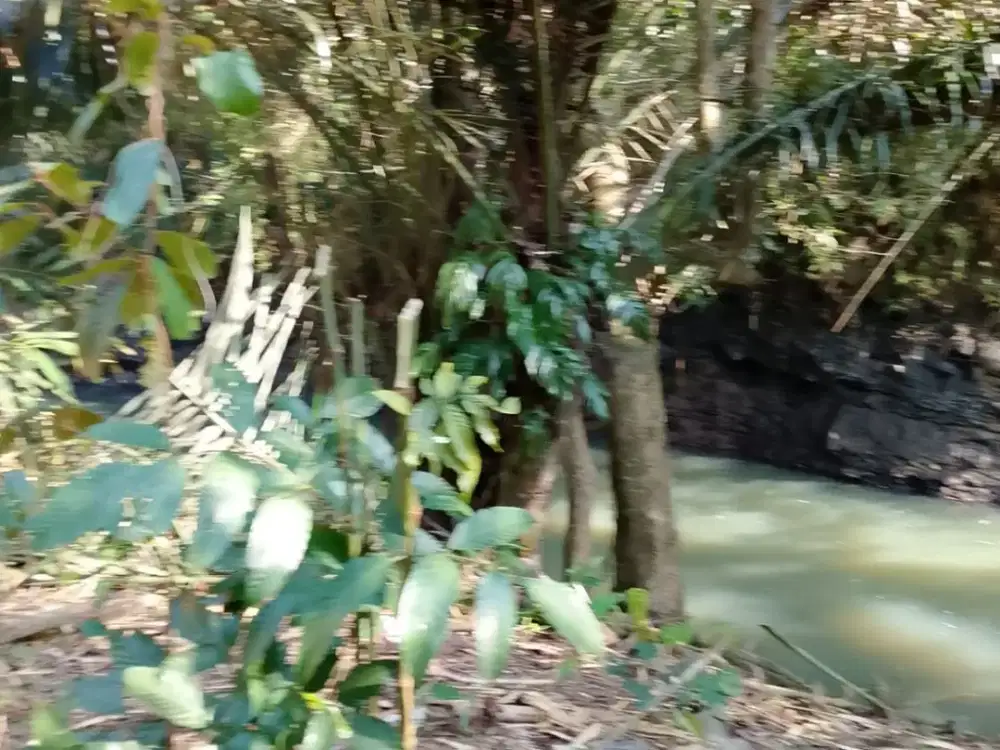 Dijual Tanah Los Sungai Kontur Tanah Datar di Munduk Bajera Utara