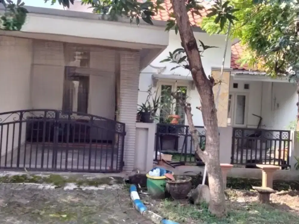RUMAH PASADENA PURI SURYA JAYA