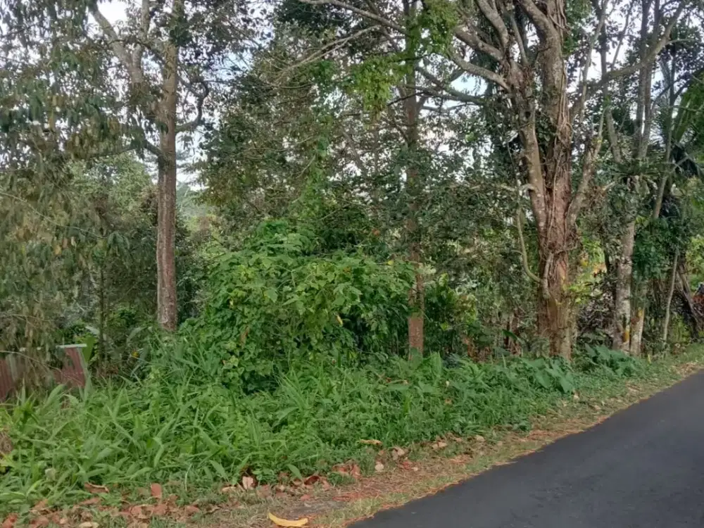 Dijual Tanah Lokasi Strategis di Penebel Pinggir Jalan Hotmix