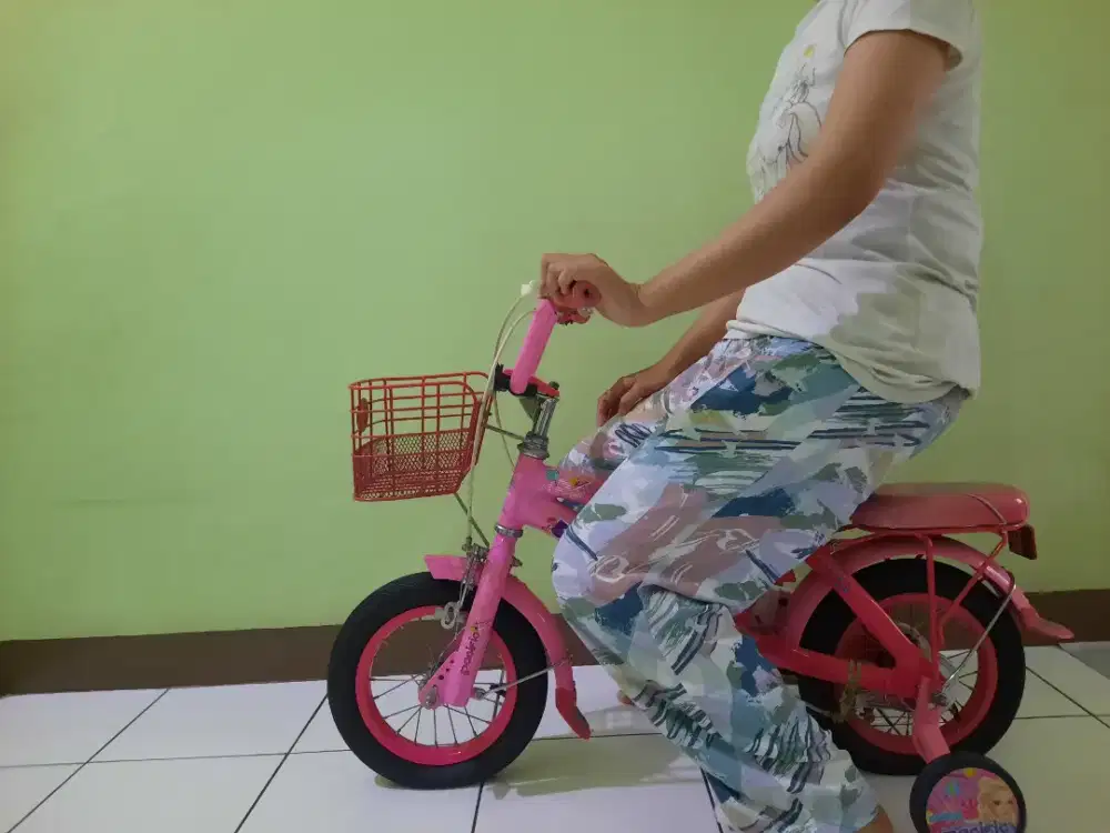 jual sepeda anak