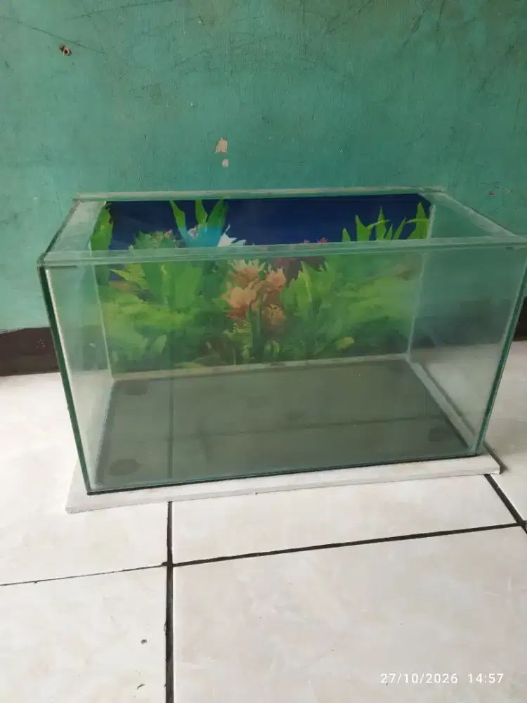Aquarium atau tank