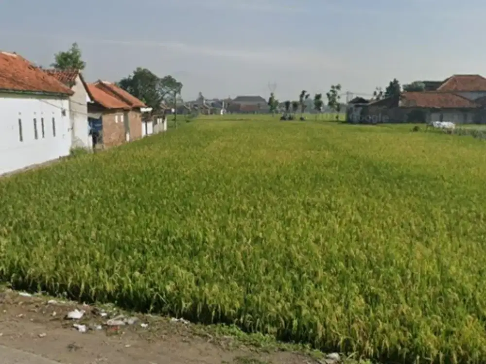 DIJUAL TANAH STRATEGIS DI SOLOKAN JERUK
