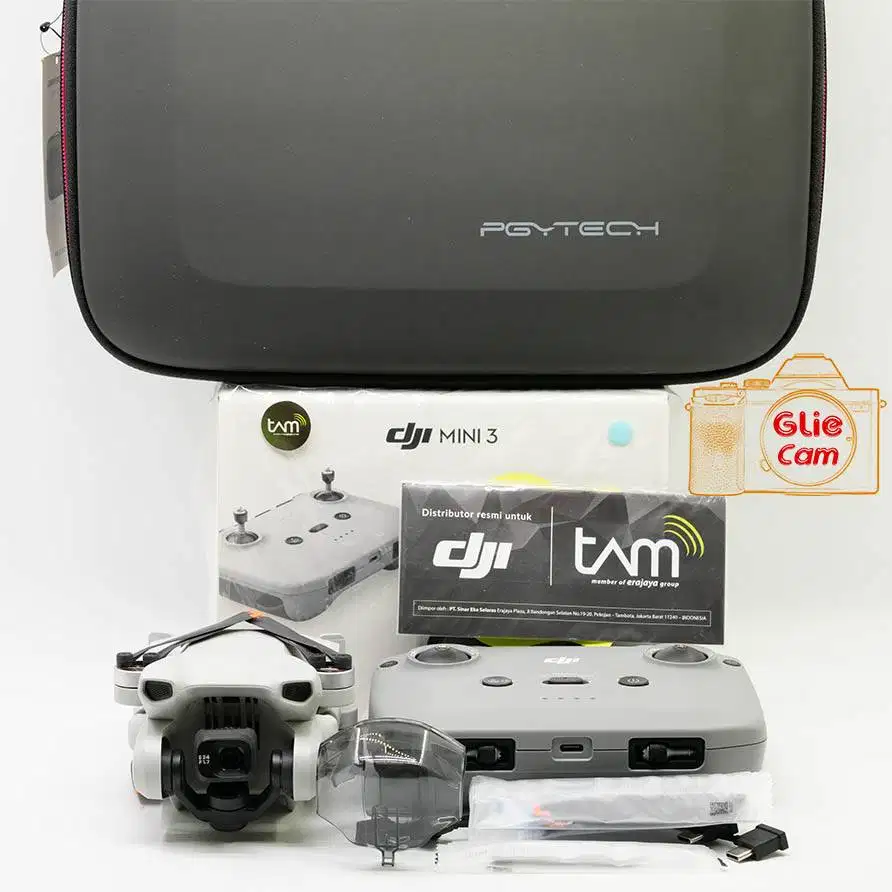 DJI MINI 3 Drone Camera Action
