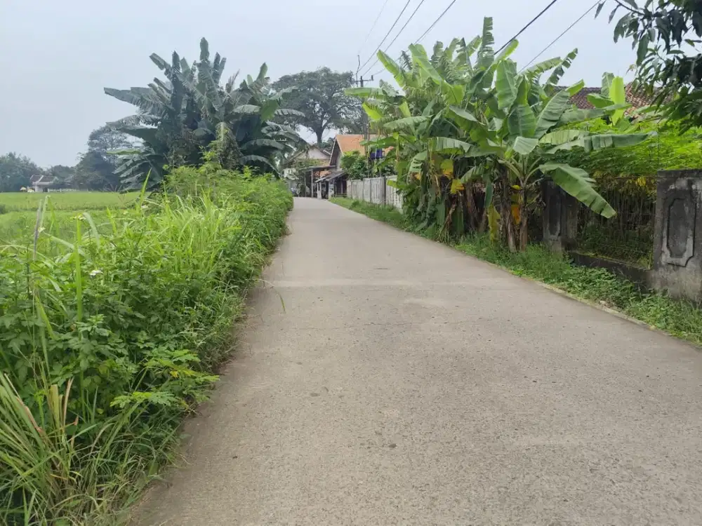 Bisa Cicil 30 Kali - Tanah Murah 70Jtan di Sindang Jaya - SHM - 10 Menit Suvarna Sutera
