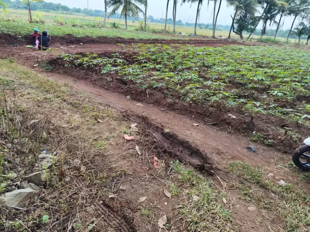 Tanah Murah 70Jtan di Sindang Jaya - SHM - 10 Menit Suvarna Sutera - Bisa Cicil 30 Kali