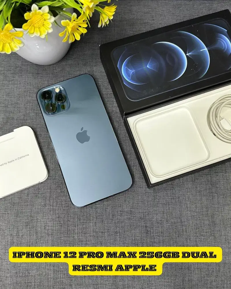 Iphone 12 pro max 256gb dual sim aktif