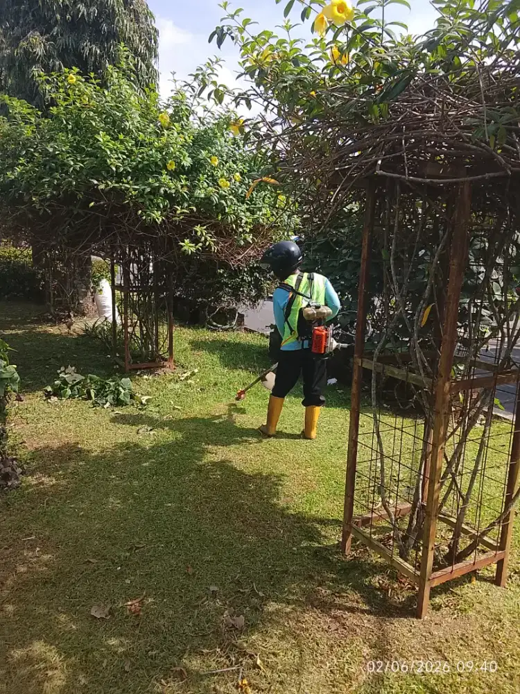 Jasa bersih rumput sleman