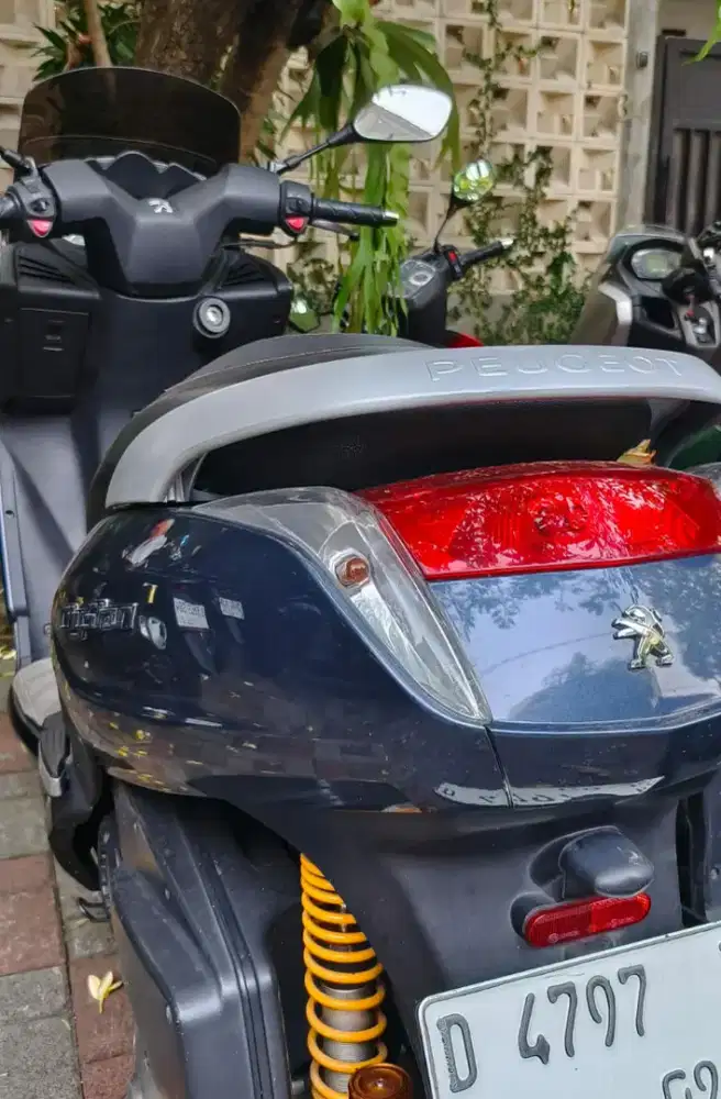 Peugeot citystar 200cc