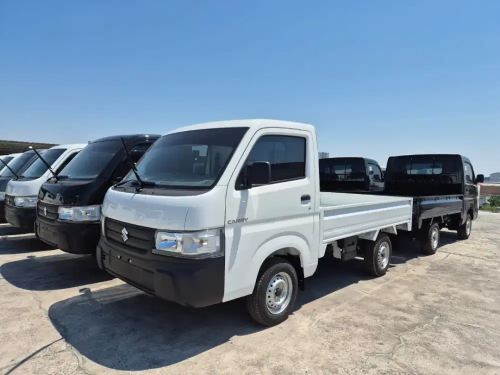 suzukicarrypickup