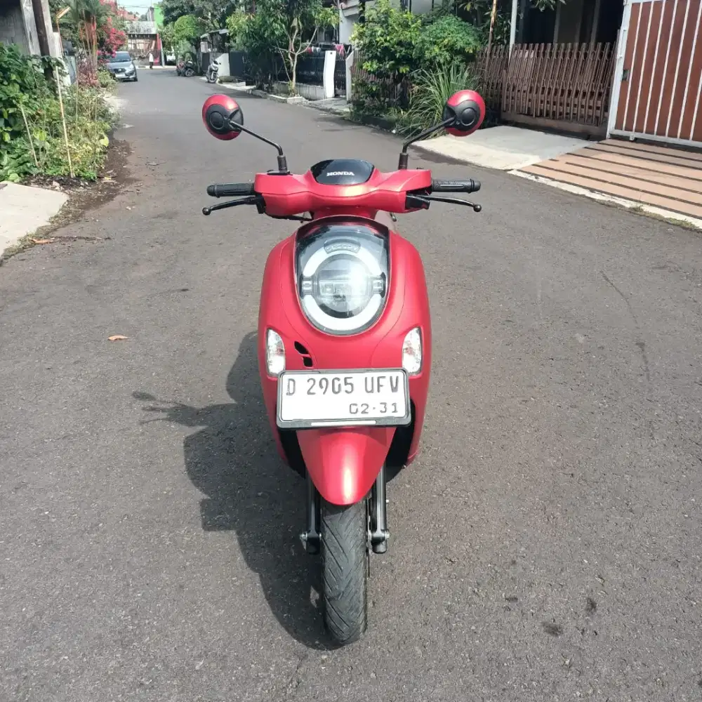 Scoopy kaylles Thun 2026 mulus
